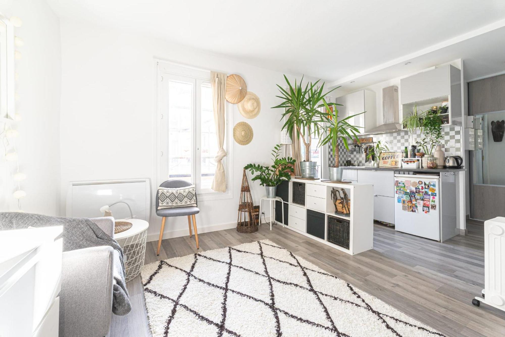 Beautiful And Bright Studio Near Belleville Apartment Paris