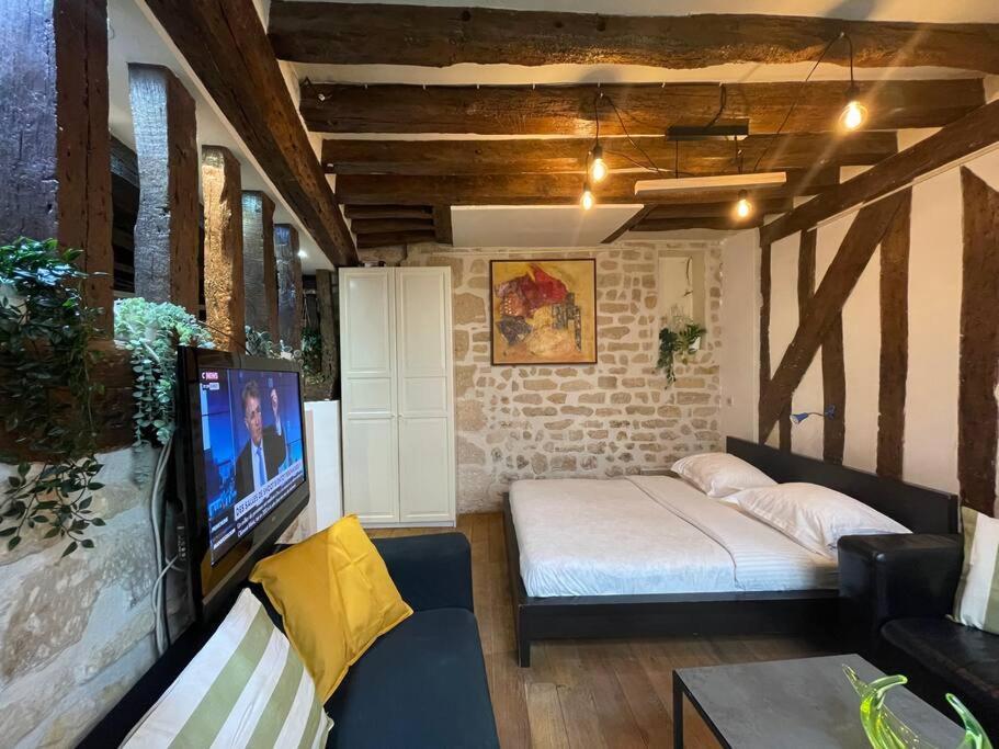 Charming Rue St Andre Des Arts Apartment *