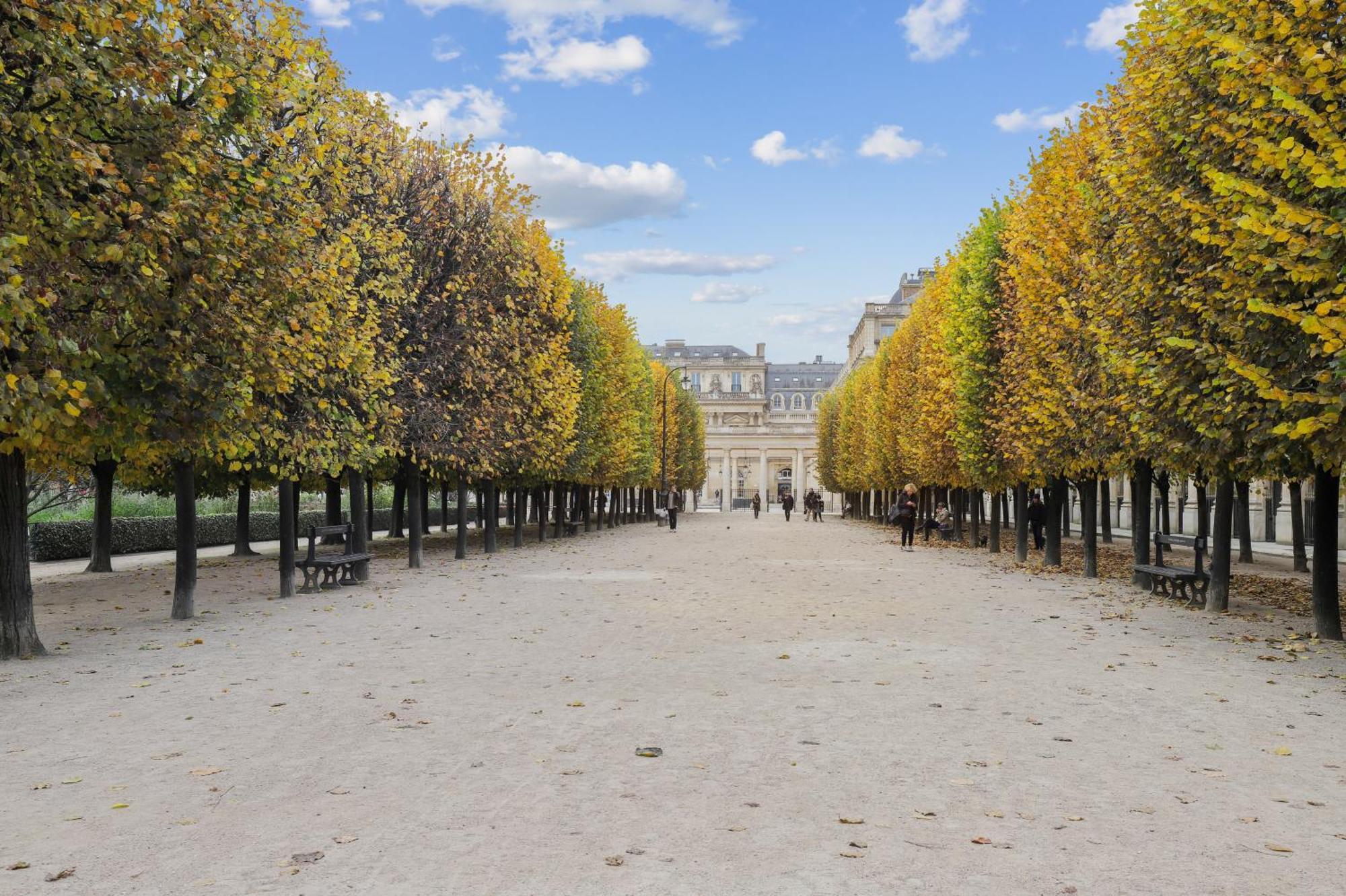 Appartamento Lavie Maison Face Palais Royal Parigi