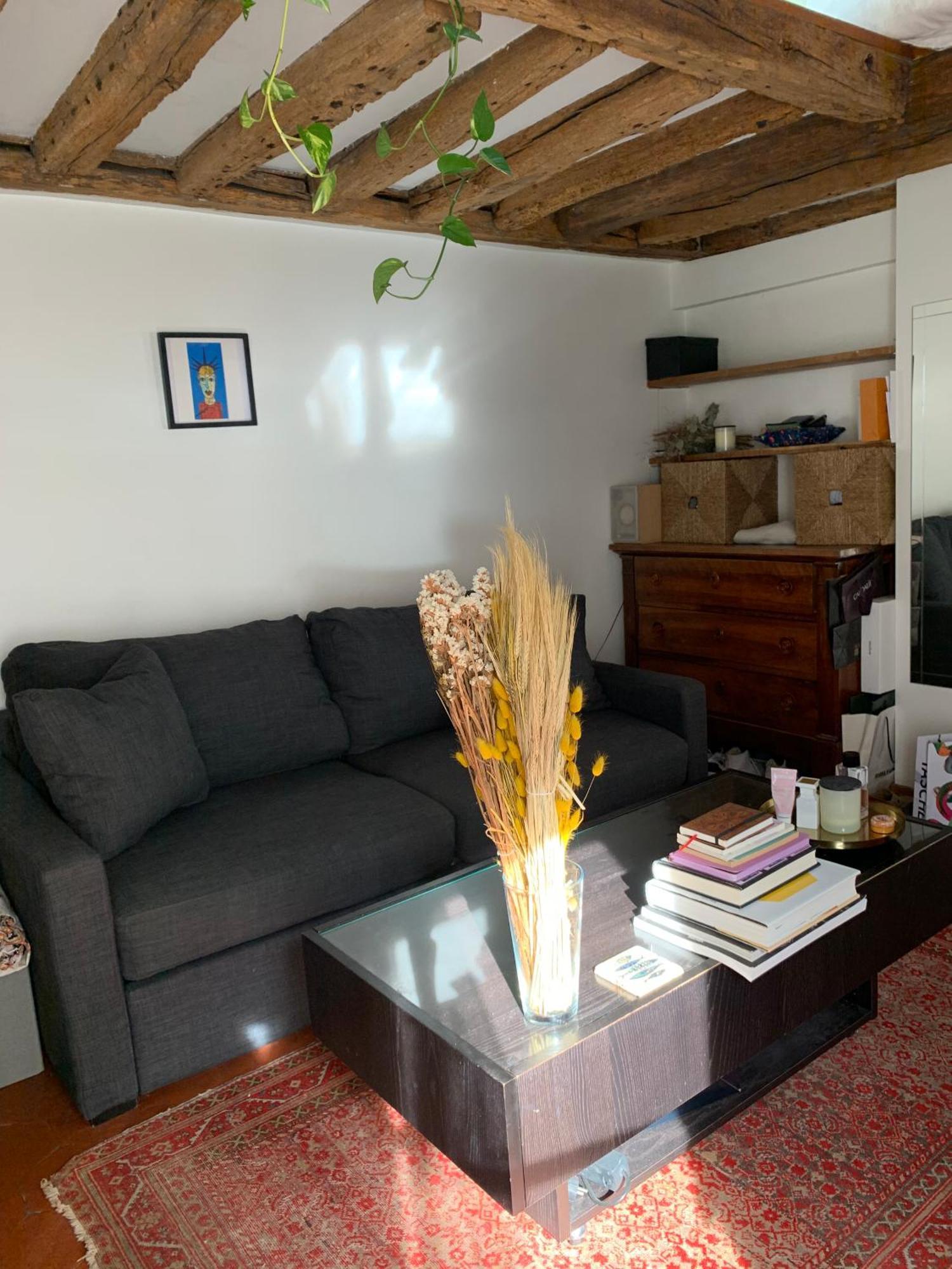 Appartamento Cozy Mezzanine In The Heart Of Parigi