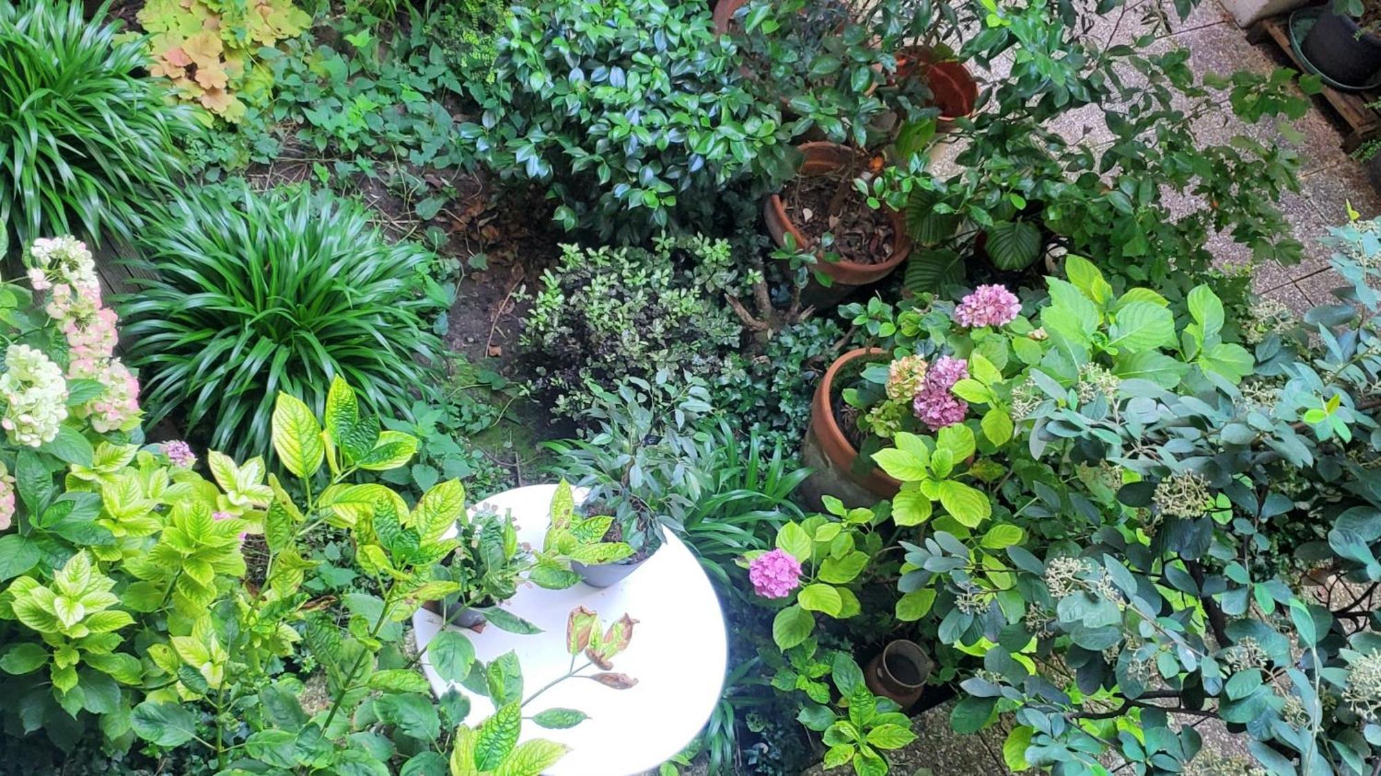 A 20eme Avec Un Petit Jardin Bed & Breakfast